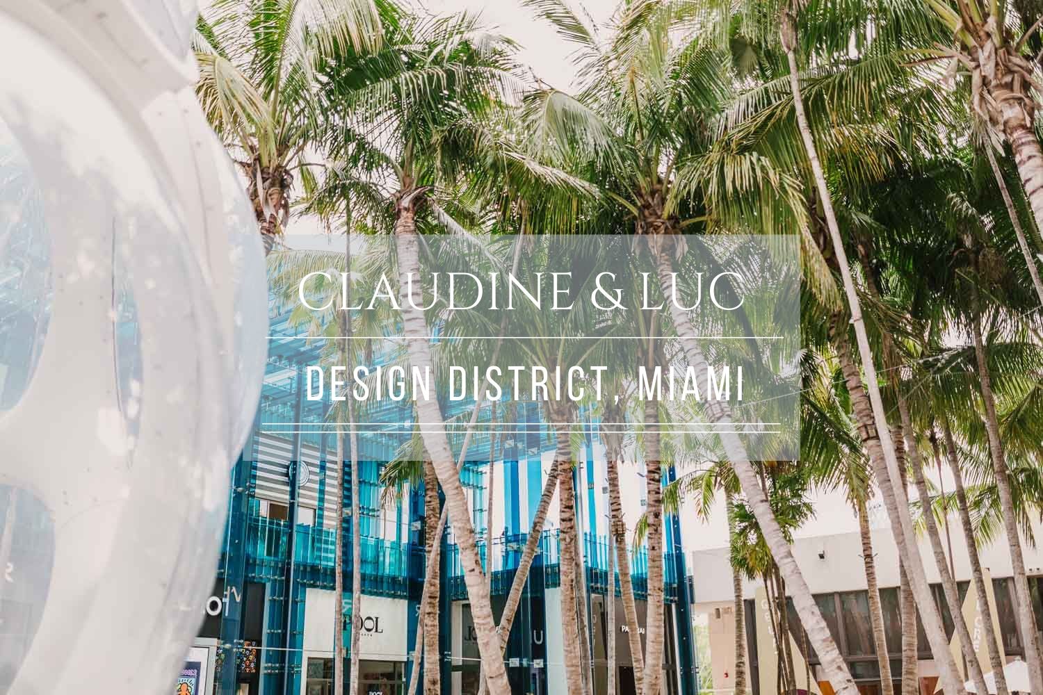 The wonderful Miami Design District engagement session 2023