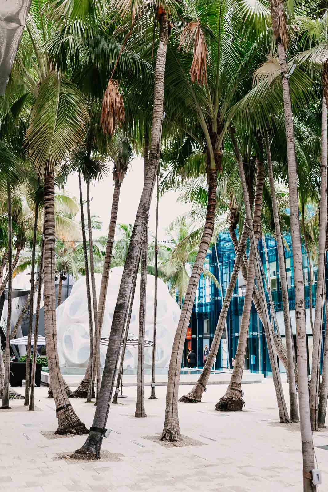 Design District Miami Photoshoot - Local Lens